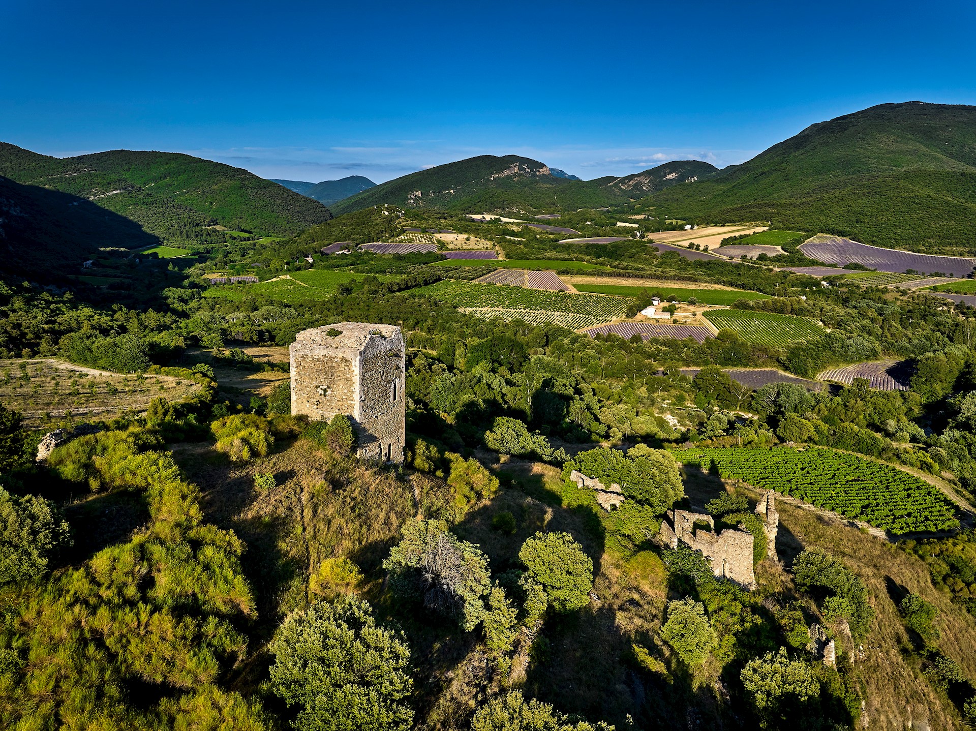 Andréa PISTOLESI - HEMIS - La Roche Saint Sauveur